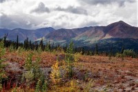 Autumn - Alaska