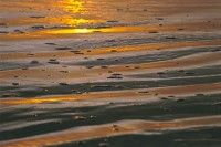Beach Reflection, Sunset, Santa Cruz, California,