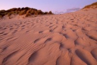Dunes at Sunset - Franklin Point
