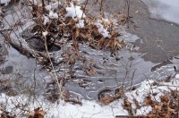 Icy River