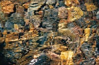 Mountain Stream #13
