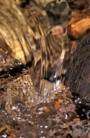 Mountain Stream #3