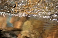 Mountain Stream #6