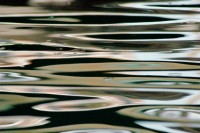 Port Townsend Reflection #2