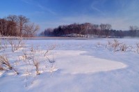 Snowy-Sudbury-River-Massachusetts, Ice, Trees, Snow, Blue Sky, Winter