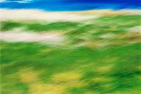 Pigeon Point Blur